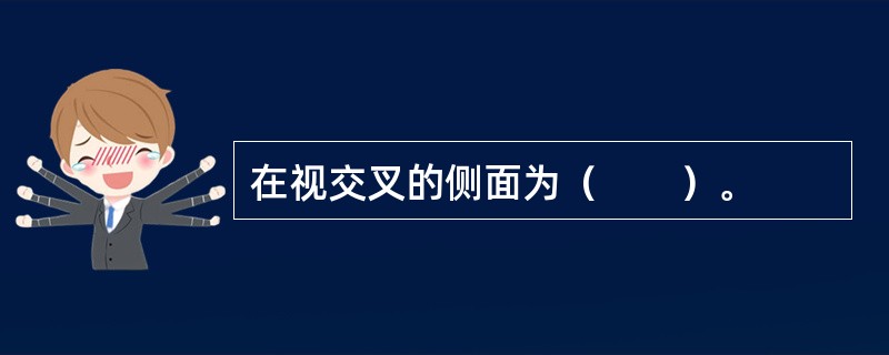 在视交叉的侧面为（　　）。