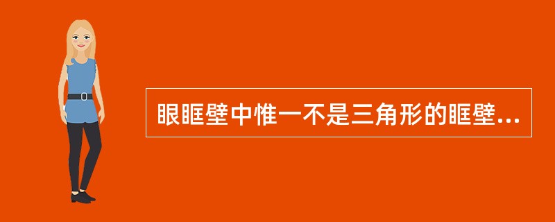 眼眶壁中惟一不是三角形的眶壁是（　　）。