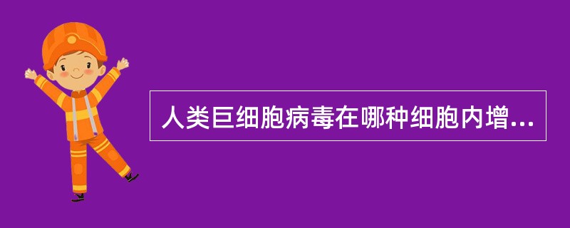 人类巨细胞病毒在哪种细胞内增殖？（　　）