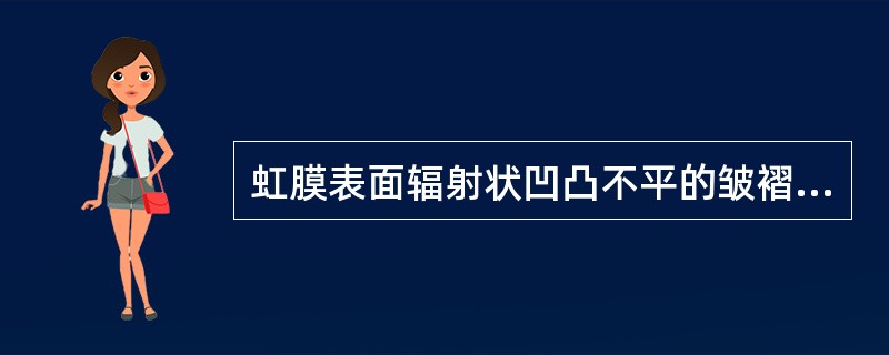 虹膜表面辐射状凹凸不平的皱褶称为（　　）。