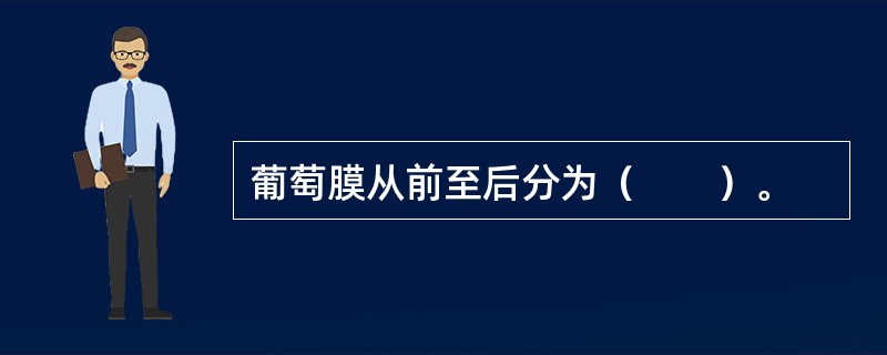 葡萄膜从前至后分为（　　）。