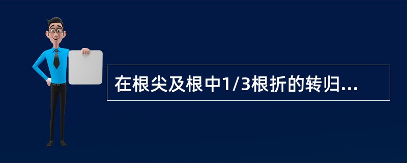 在根尖及根中1/3根折的转归中，下列叙述正确的是（　　）。