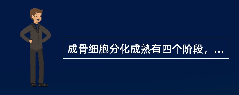 成骨细胞分化成熟有四个阶段，其顺序是（　　）。