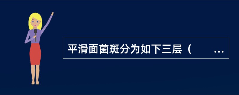 平滑面菌斑分为如下三层（　　）。