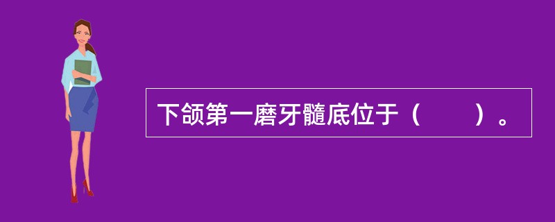 下颌第一磨牙髓底位于（　　）。