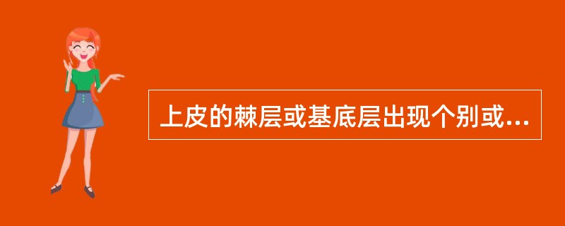 上皮的棘层或基底层出现个别或成群的细胞角化称为（　　）。