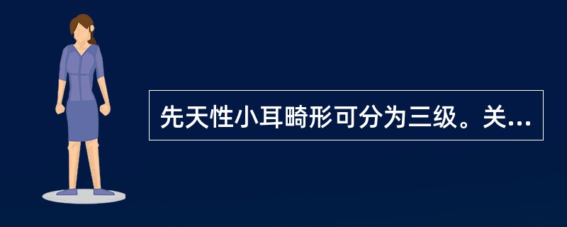 先天性小耳畸形可分为三级。关于第3级的表现，正确的是（　　）。