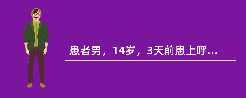 患者男，14岁，3天前患上呼吸道感染，后外耳道剧痛，听力下降，耳镜检查可见鼓膜表面和外耳道深部皮肤有数个紫红色的血疱，大小不等，鼓膜充血，最可能的诊断是（　　）。