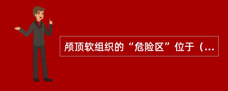 颅顶软组织的“危险区”位于（　　）。