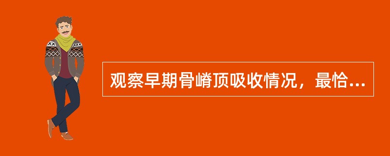 观察早期骨嵴顶吸收情况，最恰当的X线片为（　　）。