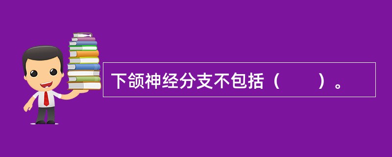 下颌神经分支不包括（　　）。