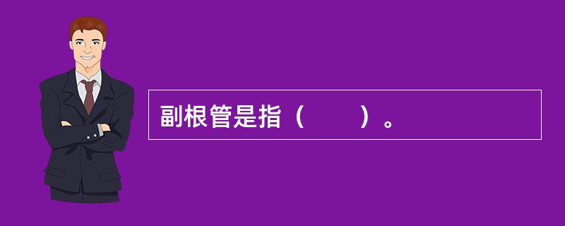 副根管是指（　　）。
