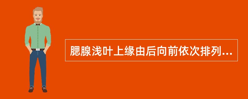 腮腺浅叶上缘由后向前依次排列的顺序为（　　）。