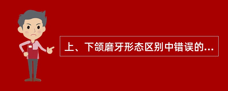 上、下颌磨牙形态区别中错误的是（　　）。