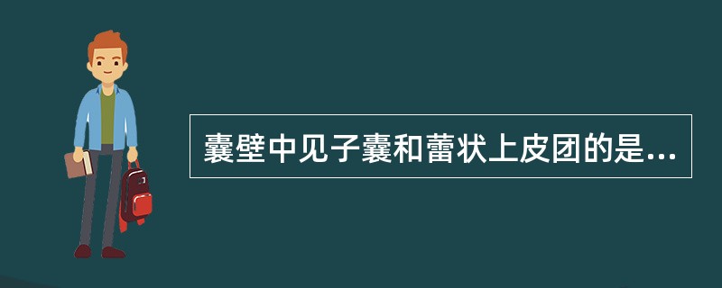 囊壁中见子囊和蕾状上皮团的是（　　）。