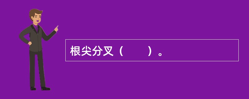根尖分叉（　　）。