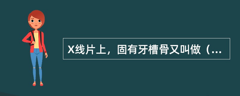 X线片上，固有牙槽骨又叫做（　　）。