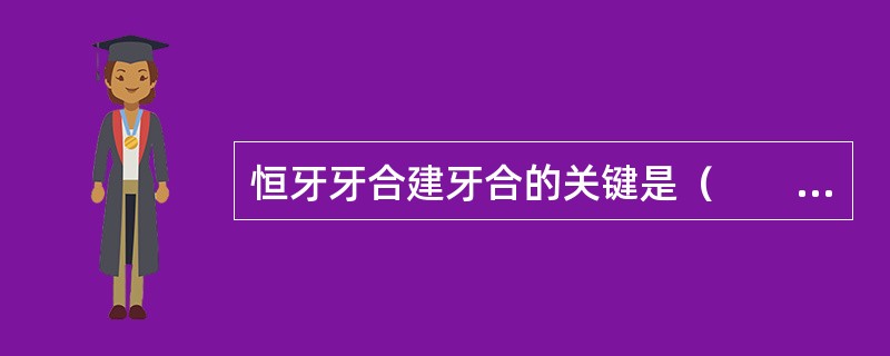 恒牙牙合建牙合的关键是（　　）。