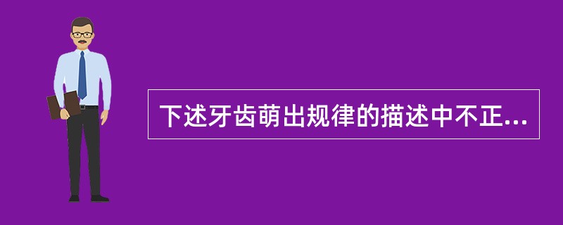下述牙齿萌出规律的描述中不正确的是（　　）。