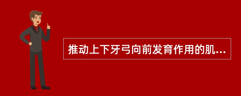 推动上下牙弓向前发育作用的肌肉有（　　）。