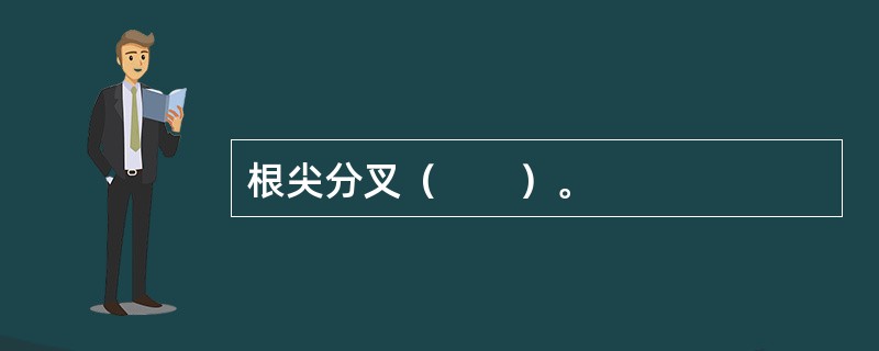 根尖分叉（　　）。