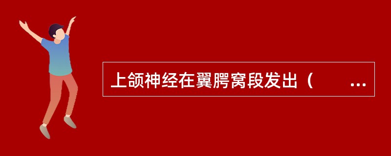 上颌神经在翼腭窝段发出（　　）。