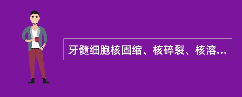 牙髓细胞核固缩、核碎裂、核溶解的变化主要见于（　　）。