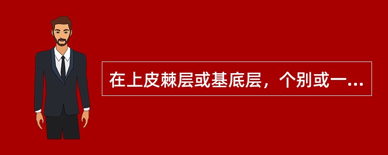 在上皮棘层或基底层，个别或一群细胞发生角化称为（　　）。