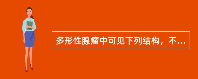 多形性腺瘤中可见下列结构，不包括（　　）。
