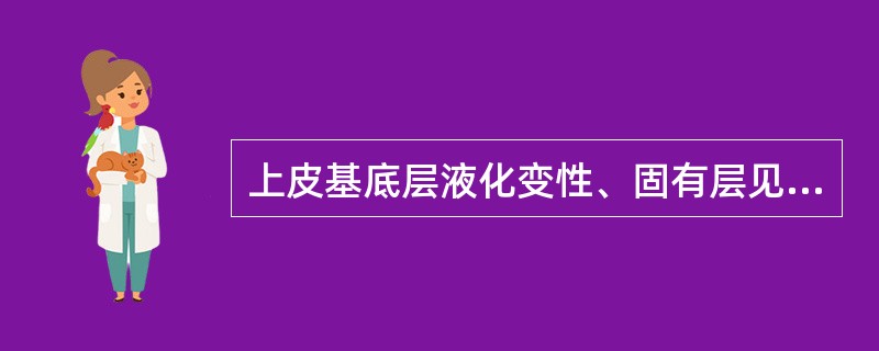 上皮基底层液化变性、固有层见密集的淋巴细胞浸润带常见于（　　）。