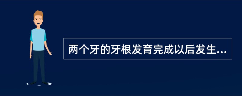 两个牙的牙根发育完成以后发生粘连而形成的是（　　）。