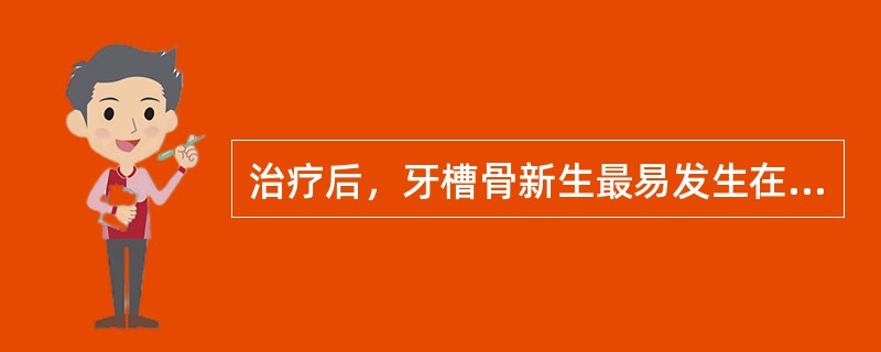 治疗后，牙槽骨新生最易发生在（　　）。