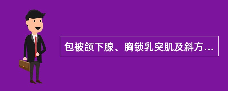 包被颌下腺、胸锁乳突肌及斜方肌的是（　　）。