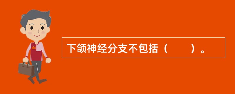 下颌神经分支不包括（　　）。