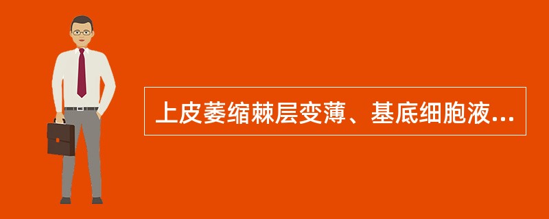 上皮萎缩棘层变薄、基底细胞液化变性的改变见于（　　）。