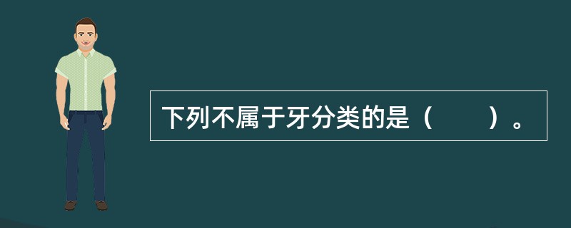 下列不属于牙分类的是（　　）。