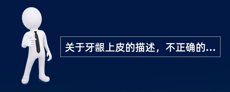 关于牙龈上皮的描述，不正确的是（　　）。