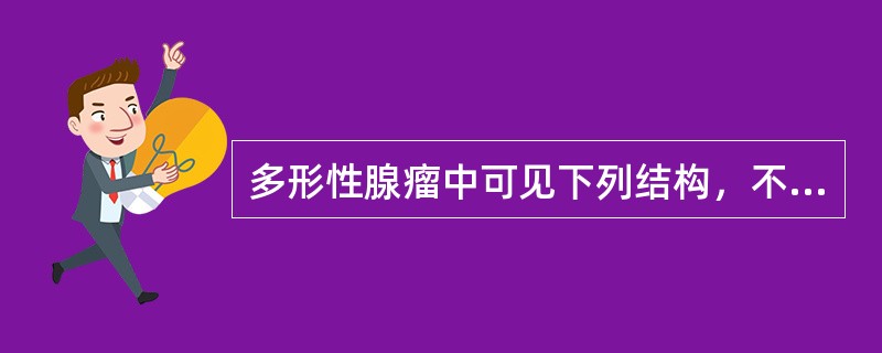 多形性腺瘤中可见下列结构，不包括（　　）。