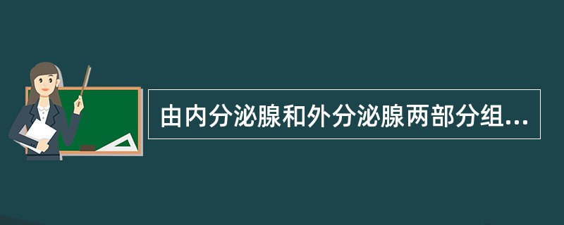 由内分泌腺和外分泌腺两部分组成的器官是（）