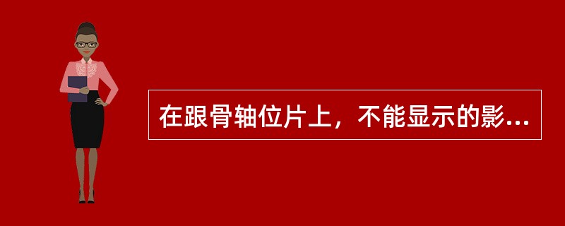 在跟骨轴位片上，不能显示的影像是（）