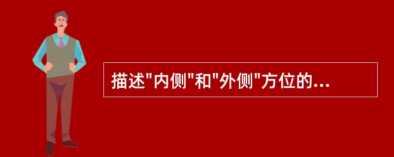 描述"内侧"和"外侧"方位的参考标志是（）