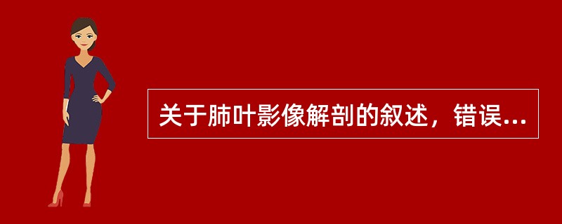 关于肺叶影像解剖的叙述，错误的是（）