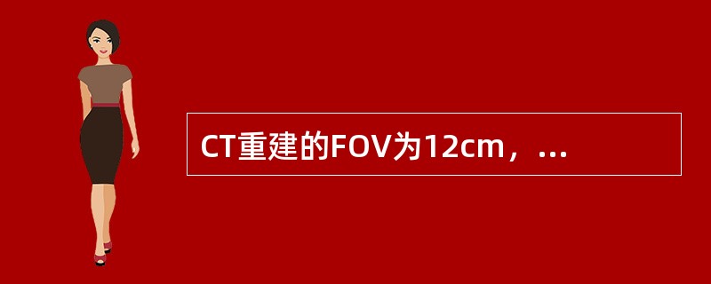 CT重建的FOV为12cm，矩阵大小为512×512，则重建后图像的最大空间分辨率可为（）