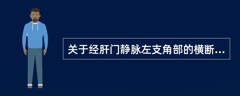 关于经肝门静脉左支角部的横断层描述正确的是（）