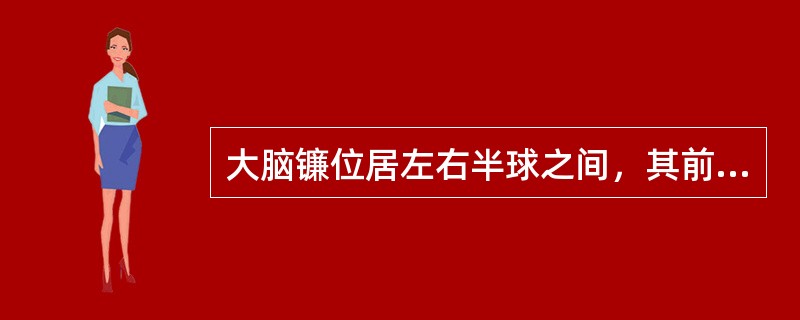 大脑镰位居左右半球之间，其前、后端仍可见上矢状窦的断面。大脑半球断面内的髓质形成半卵圆中心，髓质和皮质分界明显。半卵圆中心的髓质成自三种纤维。<br />该断层是____的层面（）