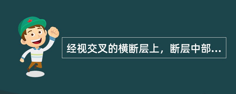 经视交叉的横断层上，断层中部可见（）