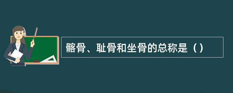 髂骨、耻骨和坐骨的总称是（）