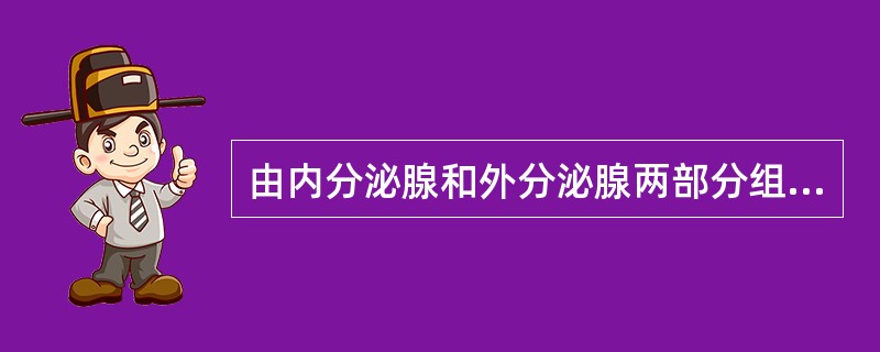 由内分泌腺和外分泌腺两部分组成的器官是（）