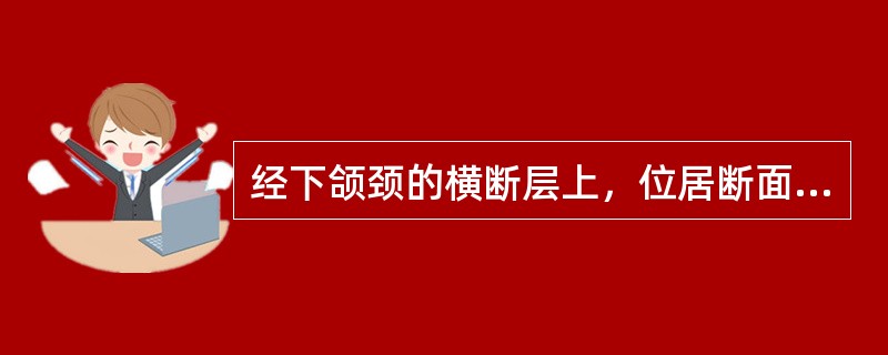 经下颌颈的横断层上，位居断面中央的是（）
