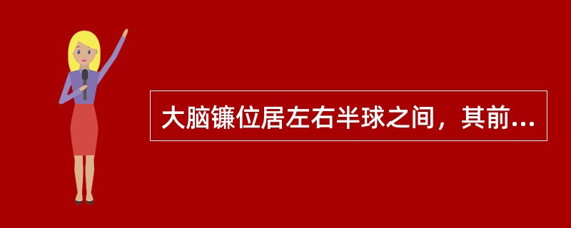 大脑镰位居左右半球之间，其前、后端仍可见上矢状窦的断面。大脑半球断面内的髓质形成半卵圆中心，髓质和皮质分界明显。半卵圆中心的髓质成自三种纤维。<br />连接两大脑半球的相应皮质区的是（）